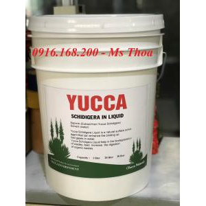 YUCCA SCHIDIREGA IN LIQUID - Yucca nước, Yucca hấp thu khí độc